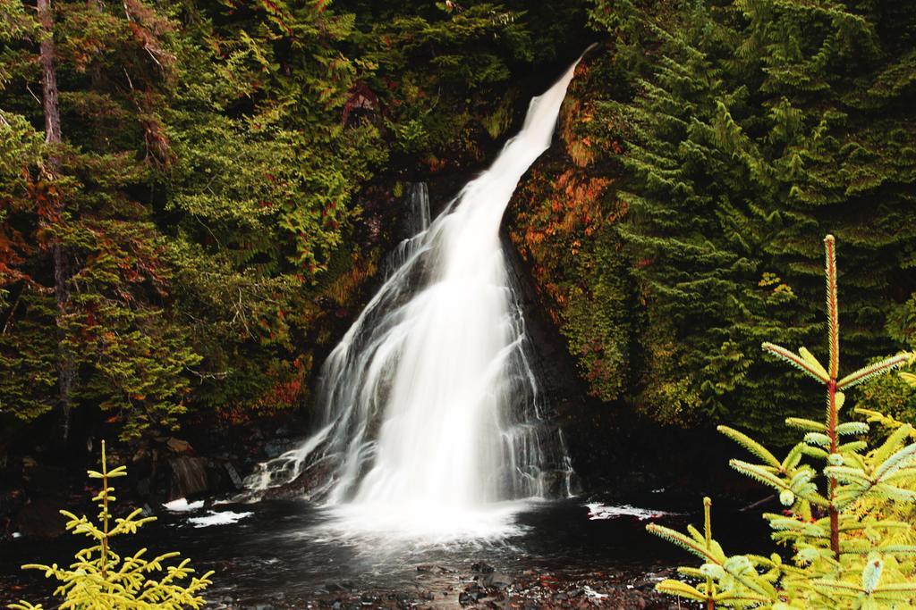 Salmon Falls Resort Ketchikan Bagian luar foto