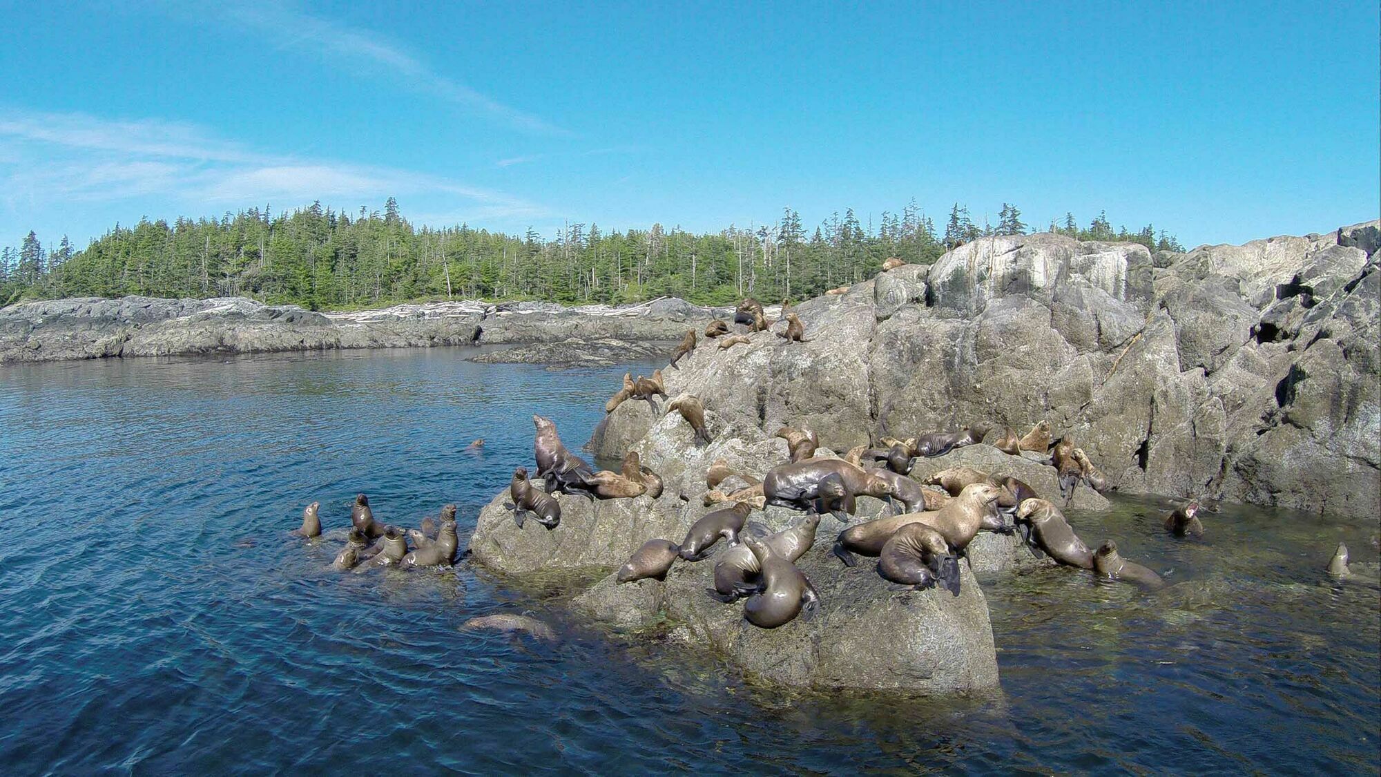 Salmon Falls Resort Ketchikan Bagian luar foto